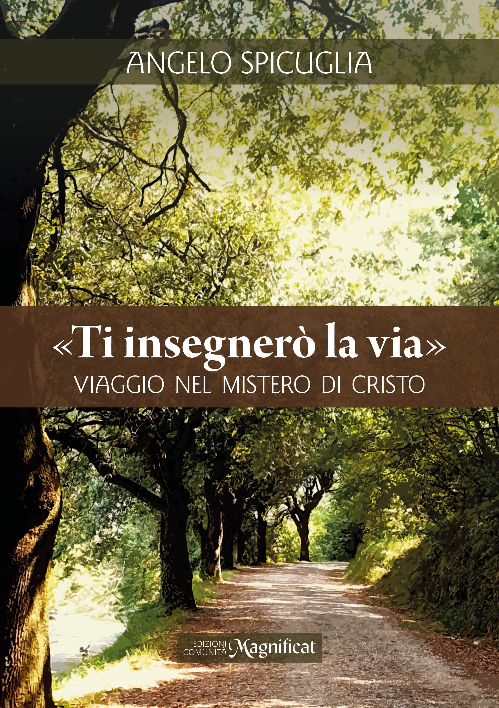 «Ti insegnerò la via». Viaggio nel mistero di Cristo